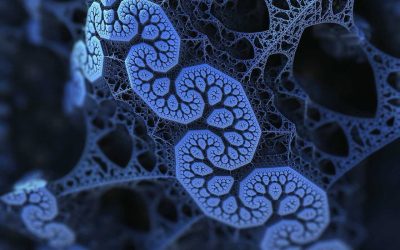 Egyenes, fordított arányosság